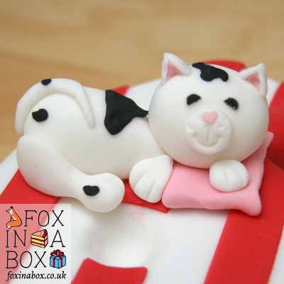 cat kitten sugar paste edible cake topper
